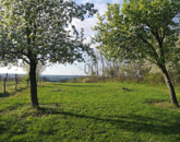 Eladó üdülő/nyaraló Kávás 10 990 000 Ft