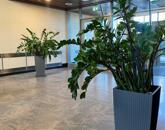 Eladó lakás Budapest IX. ker 165 000 000 Ft