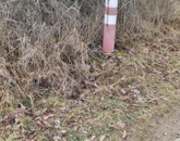 Eladó telek/földterület Karancsalja 5 000 000 Ft