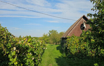 Eladó telek/földterület