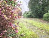 Eladó családi ház Gellénháza 45 990 000 Ft