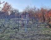 Eladó telek/földterület Miskolc 9 900 000 Ft