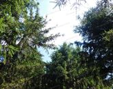 Eladó családi ház Felsőpáhok 130 000 000 Ft