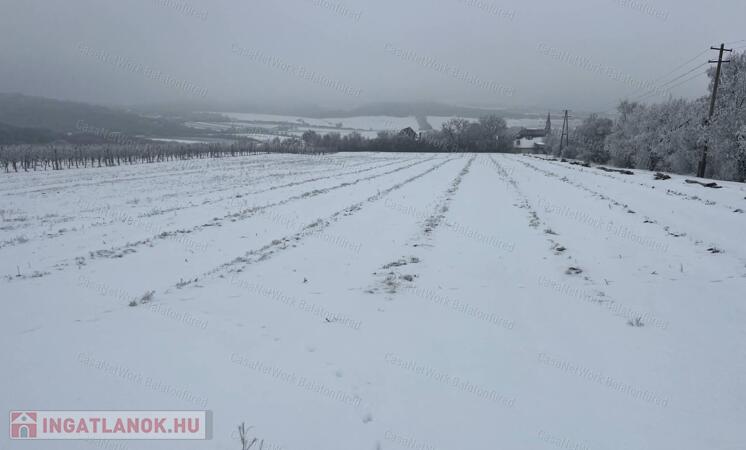 PANORÁMÁS SZŐLŐ A NIVEGY-VÖLGY SZÍVÉBEN SZENTJAKABFÁN