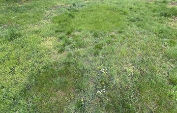 Eladó telek/földterület