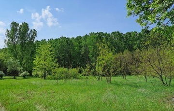Eladó telek/földterület