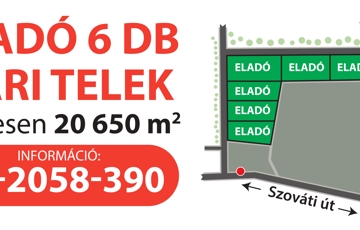 Eladó ipari ingatlan