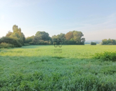 Eladó telek/földterület Kehidakustány 17 000 000 Ft