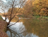 Eladó telek/földterület Gyula 39 900 000 Ft