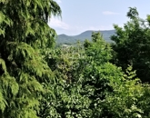 Eladó üdülő/nyaraló Dunabogdány 7 900 000 Ft