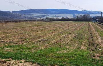 Eladó telek/földterület