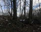 Eladó telek/földterület Zalaegerszeg 1 700 000 Ft