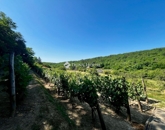 Eladó üdülő/nyaraló Kölesd 7 000 000 Ft