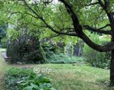 Eladó üdülő/nyaraló Solymár 69 900 000 Ft