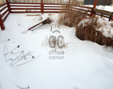 Eladó családi ház Söjtör 48 500 000 Ft