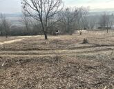 Eladó telek/földterület Balatonszőlős 85 000 000 Ft