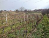 Eladó üdülő/nyaraló Zalaszentlászló 45 000 000 Ft