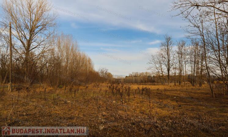 Eladó zöldterület, Tápiószentmárton                                 