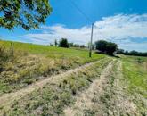 Eladó Zártkert Szőny-Béla-pusztán – Félpanorámával a Természet Kedvelőinek!