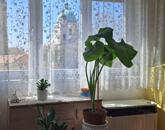 Eladó Cegléd szívében 70 m2 Téglalakás