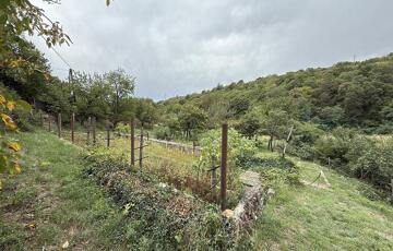 Eladó telek/földterület