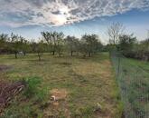 Eladó gyümölcsös Törökszentmiklós-Súrjányban!