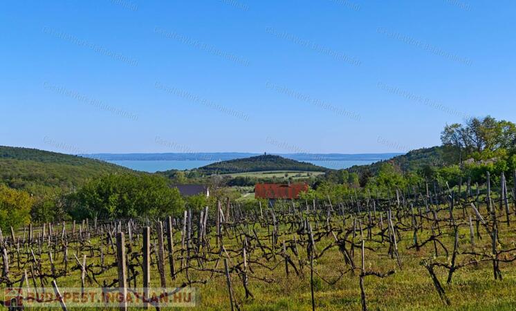 Balatoni panorámás nyaraló eladó Felsőörsön                                 