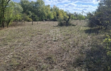 Eladó telek/földterület