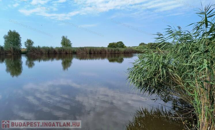 Eladó vízparti telek Tiszapüspöki Holt-Tiszánál!                                 
