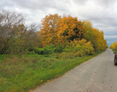 Eladó telek/földterület Türje 3 000 000 Ft