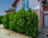 Eladó családi ház Székesfehérvár 75 000 000 Ft