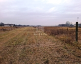 Eladó telek/földterület Tököl 15 500 000 Ft