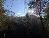 Eladó telek/földterület Budakeszi 29 900 000 Ft