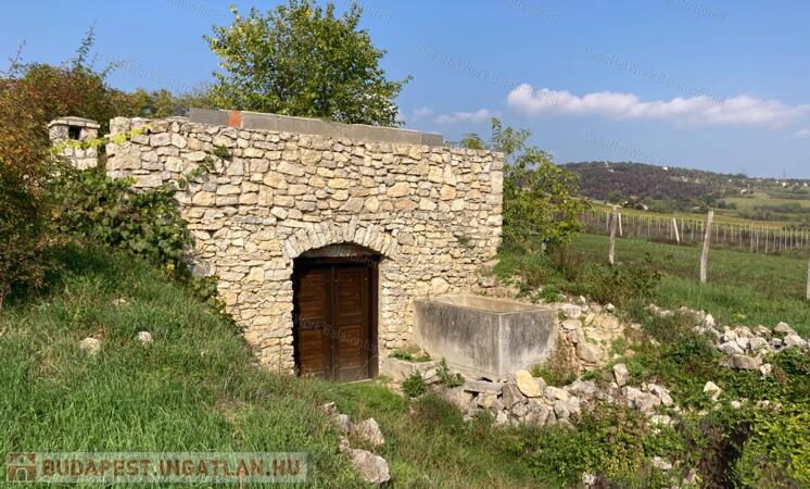 Kivételes lehetőség                                 