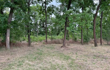 Eladó telek/földterület