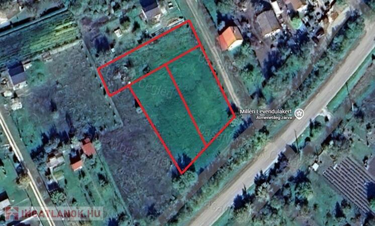 Eladó zártkertek a Mihályi-laposon