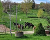 Eladó családi ház Egerág 159 000 000 Ft