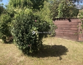 Eladó családi ház Vajszló 17 000 000 Ft