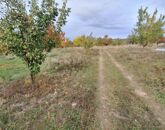 Eladó telek/földterület Szada 81 900 000 Ft