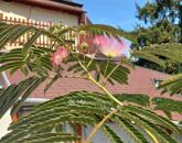 Eladó családi ház Budapest III. ker 220 000 000 Ft