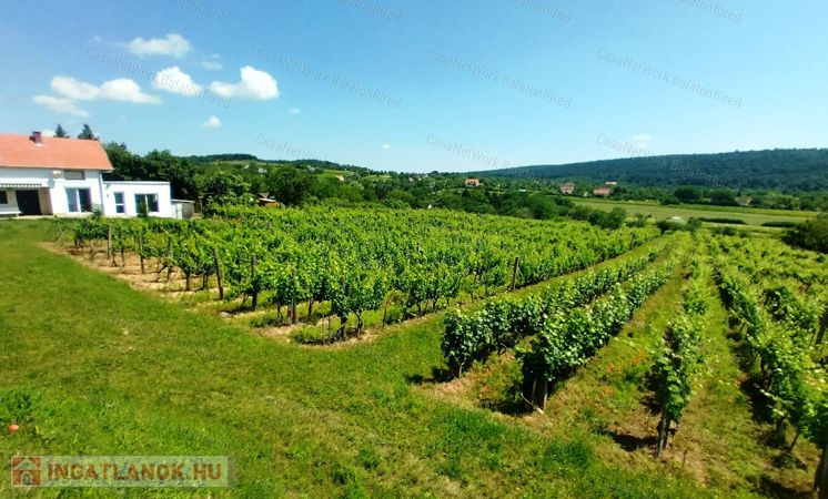 BALATONI PANORÁMÁS SZŐLŐBIRTOK FELSŐÖRSÖN KÉT ÉPÜLETTEL