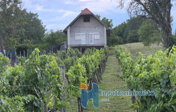 Eladó családi ház